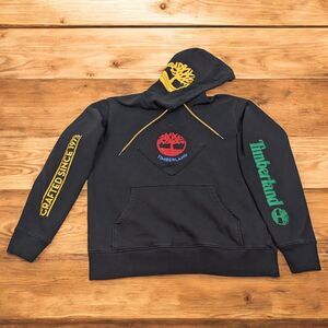 Men's Timberland Tree Core Logo Colorful Pullover Hoodie Size Large